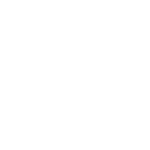 Logo-DOCK-SELLER